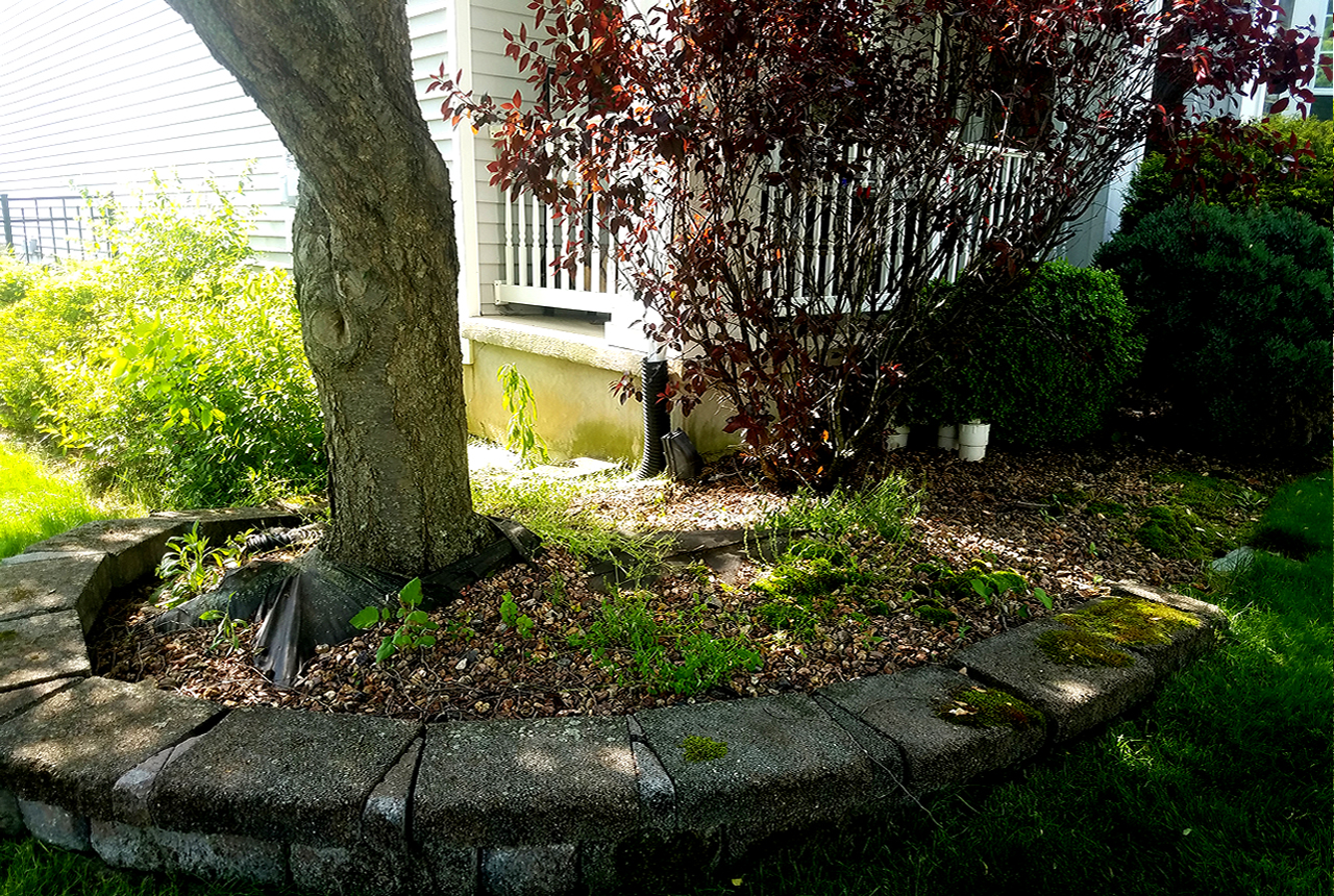 alpha landscaping before1